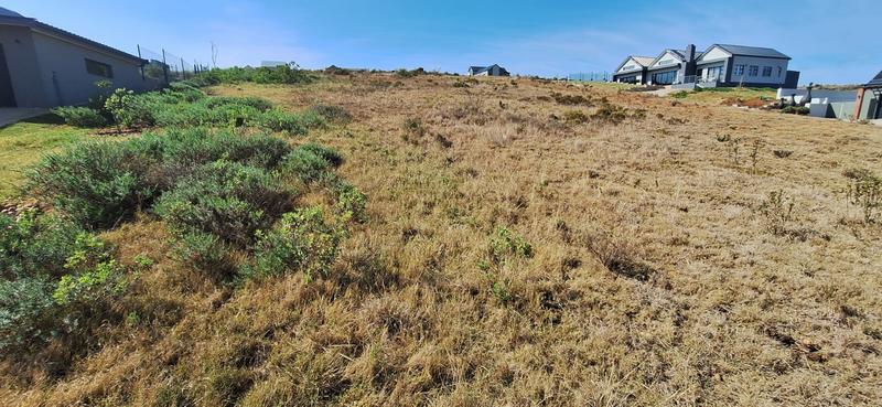 0 Bedroom Property for Sale in Outeniquasbosch Western Cape